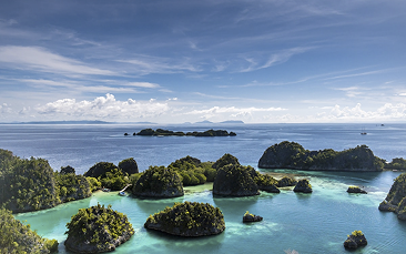 Raja Ampat